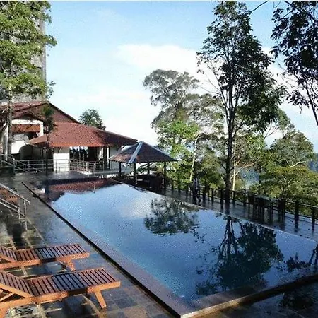 D Coconut Hill Resort